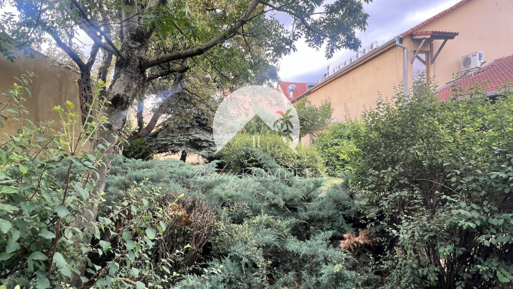 Starší rodinný dom s veľkým pozemkom na výnimočnom mieste v Štúrove – ideálna investičná príležitosť!