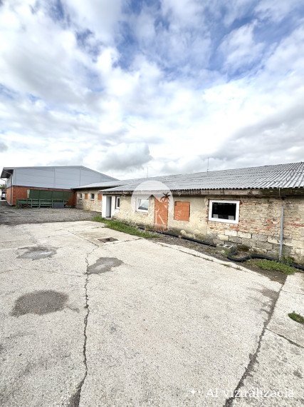 IBA U NÁS !!! Reality KOMPLEX s.r.o. vám ponúka na prenájom priestrannú viacúčelovú halu v Martovciach na pozemku s celkovou výmerou 8 647 m²