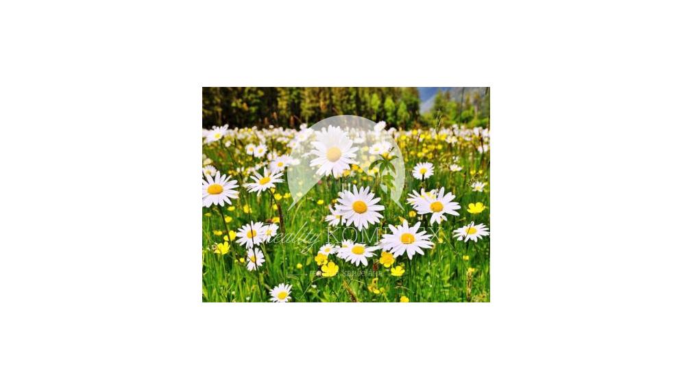 Reality KOMPLEX s.r.o. Vám ponúka na PREDAJ pozemok v obci Čalovec 11 km od mesta Komárno