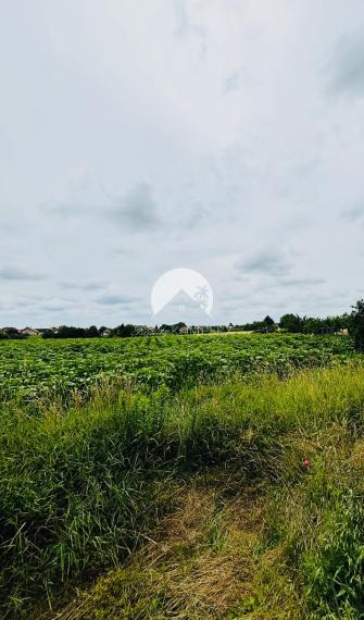 Reality Komplex s.r.o. ELADÁSRA kínál egy nagy telket régi vidéki házzal Nagylúdc községben!