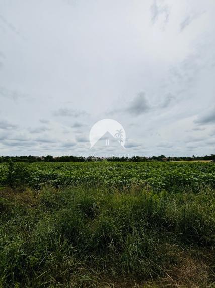 Reality Komplex s.r.o. ELADÁSRA kínál egy nagy telket régi vidéki házzal Nagylúdc községben!