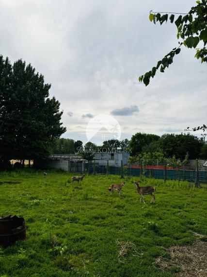 Reality KOMPLEX s.r.o., Vám ponúka na predaj rodinný dom v obci Brestovec