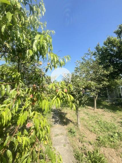 Reality KOMPLEX s.r.o., Vám ponúka záhrada s chatkou v najvyhľadávanejšej časti Komárno.