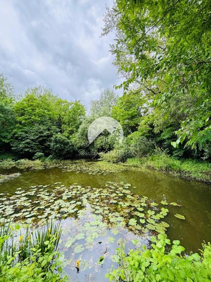 Reality KOMPLEX s.r.o., Vám exkluzívne ponúka na predaj rybárske jazero s veľkým pozemkom v obci Malý Ostrov