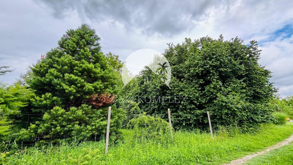 Reality KOMPLEX s.r.o., Vám exkluzívne ponúka na predaj rybárske jazero s veľkým pozemkom v obci Malý Ostrov