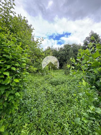 Reality KOMPLEX s.r.o., Vám exkluzívne ponúka na predaj rybárske jazero s veľkým pozemkom v obci Malý Ostrov