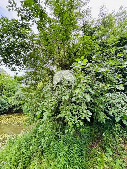 Reality KOMPLEX s.r.o., Vám exkluzívne ponúka na predaj rybárske jazero s veľkým pozemkom v obci Malý Ostrov