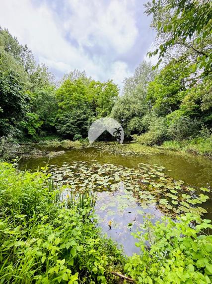 Reality KOMPLEX s.r.o., Vám exkluzívne ponúka na predaj rybárske jazero s veľkým pozemkom v obci Malý Ostrov