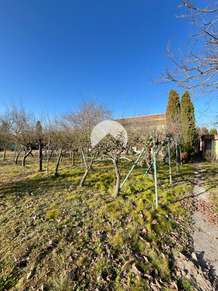 Reality KOMPLEX s.r.o., Vám ponúka 8 árovú záhradu v Novej Stráži