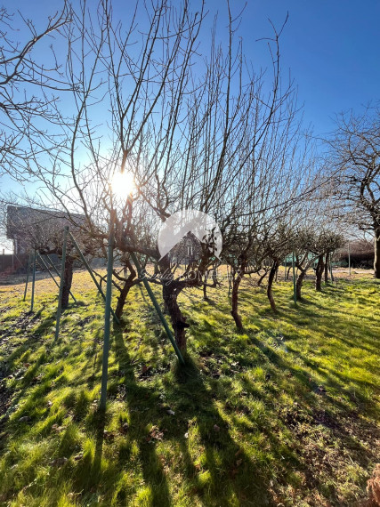 Reality KOMPLEX s.r.o., Vám ponúka 8 árovú záhradu v Novej Stráži