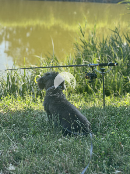 Pri brehu Virtského jazera na PREDAJ rodinný dom s veľkým pozemkom