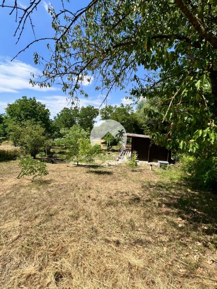 Reality KOMPLEX s.r.o. ponúka na PREDAJ viničný domček s priestranným pozemkom v obci Kamenín