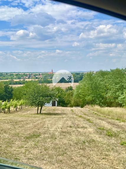 Reality KOMPLEX s.r.o. ponúka na PREDAJ viničný domček s priestranným pozemkom v obci Kamenín