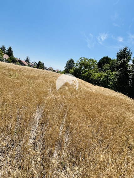 Reality KOMPLEX s.r.o., Vám EXKLUZÍVNE ponúka na predaj priestranný pozemok v obci Doľný Štál