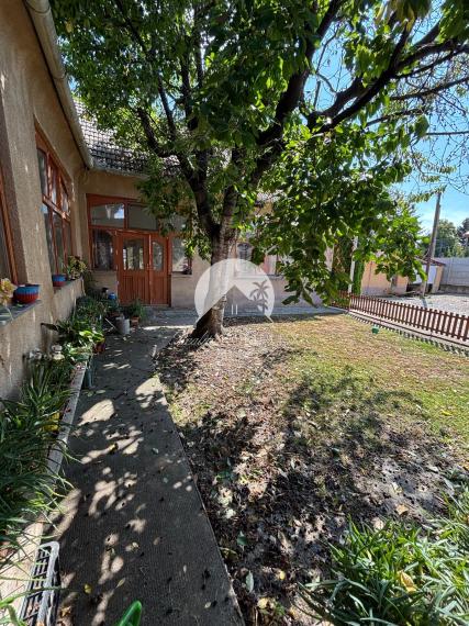 Reality KOMPLEX s.r.o. Vám ponúka na predaj priestranný rodinný dom s mimoriadne veľkým pozemkomv meste Kolárovo (okres Komárno).