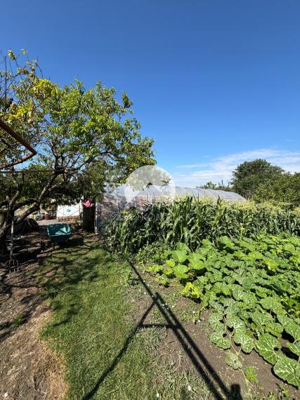 Reality KOMPLEX s.r.o. Vám ponúka na predaj priestranný rodinný dom s mimoriadne veľkým pozemkomv meste Kolárovo (okres Komárno).