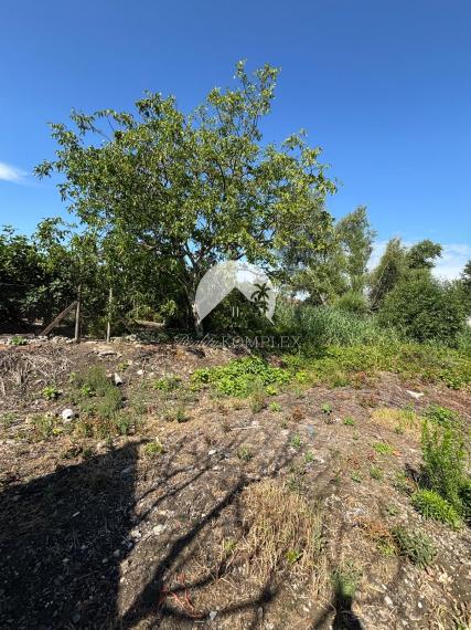 Reality KOMPLEX s.r.o. Vám ponúka na predaj priestranný rodinný dom s mimoriadne veľkým pozemkomv meste Kolárovo (okres Komárno).