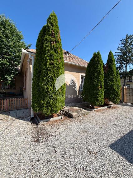 Reality KOMPLEX s.r.o. Vám ponúka na predaj priestranný rodinný dom s mimoriadne veľkým pozemkomv meste Kolárovo (okres Komárno).