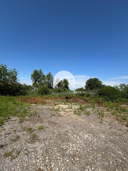 Reality KOMPLEX s.r.o. Vám ponúka na predaj priestranný rodinný dom s mimoriadne veľkým pozemkomv meste Kolárovo (okres Komárno).