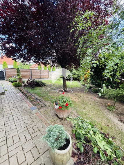 Reality KOMPLEX s.r.o. ponúka na predaj priestranný rodinný dom v meste Kolárovo, ktorý je vďaka svojej dispozícii vhodný aj pre dvojgeneračné bývanie.