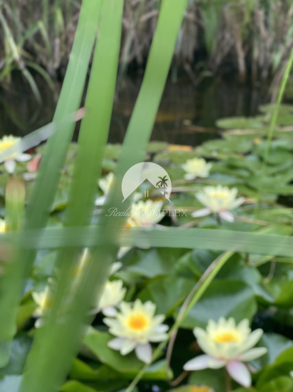 Rekreačná chata  s nádhernou záhradou a jazierkom v obľúbenej časti Komárna (Nová Osada)  blízko Váhu na PREDAJ!!