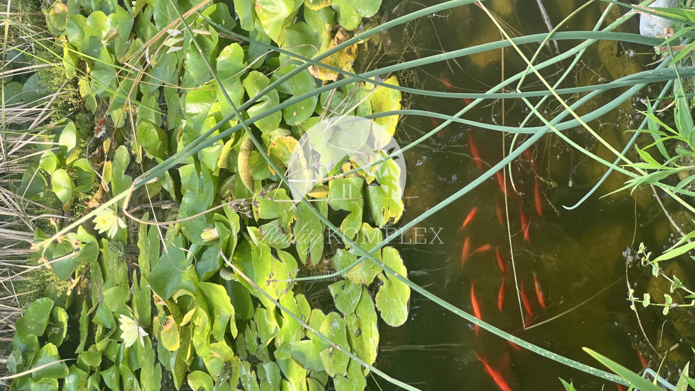 Rekreačná chata  s nádhernou záhradou a jazierkom v obľúbenej časti Komárna (Nová Osada)  blízko Váhu na PREDAJ!!