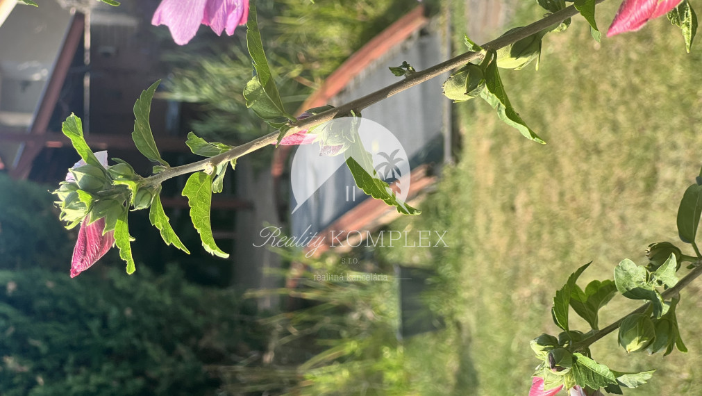 Rekreačná chata  s nádhernou záhradou a jazierkom v obľúbenej časti Komárna (Nová Osada)  blízko Váhu na PREDAJ!!