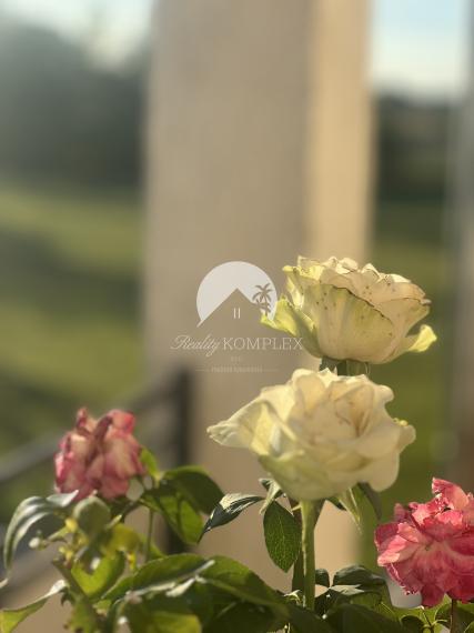 Reality Komplex s.r.o. Vám exkluzívne ponúka na PREDAJ poschodový rodinný dom s obrovským pozemkom v obci Tôň, blízko Komárna!