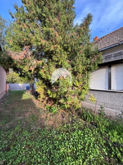 Reality KOMPLEX s.r.o. Vám EXKLUZÍVNE ponúka na predaj 4-izbový rodinný dom v obci Sokolce.