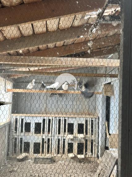 Reality KOMPLEX s.r.o.,Vám  ponúka starší  4 izbový rodinný dom  v pokojnej časti Mesta Komárno !