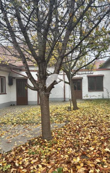 Reality KOMPLEX s.r.o.,Vám  ponúka starší  4 izbový rodinný dom  v pokojnej časti Mesta Komárno !