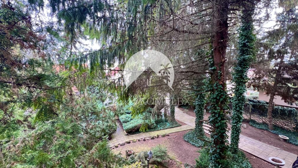 Reality KOMPLEX s.r.o. Vám ponúka na predaj priestranný rodinný dom s veľkým pozemkom v obci Chotín