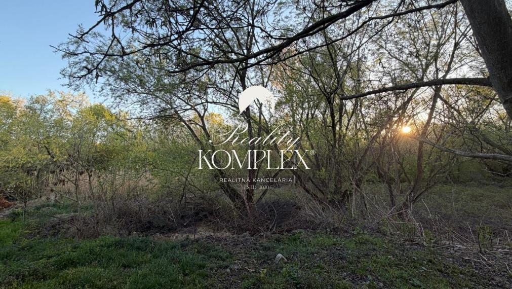 Reality KOMPLEX s.r.o Vám exkluzívne ponúka rodinny dom na predaj v Kolárove