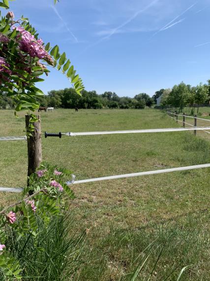 Reality KOMPLEX s.r.o. Vám ponúkana predaj veľkú budovu čarokrásnej, pokojnej lokalite!