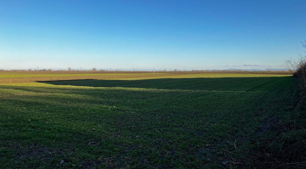 Exkluzívne. Reality KOMPLEX s.r.o. Vám ponúka na predaj veľký stavebný pozemok v obci Okoličná na Ostrove!