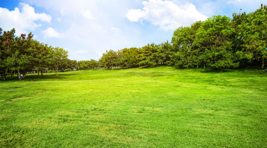Reality KOMPLEX s.r.o. Vám ponúka na PREDAJ stavebné pozemky v obci Kava za SUPER CENU! / od Komárna 7 km/