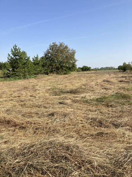 Reality KOMPLEX s.r.o. Vám ponúka na PREDAJ stavebný pozemok v Komárne - časť Malá Iža.