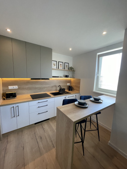 Reality KOMPLEX s.r.o., Vám ponúka na Prenájom 2-izbový byt s loggiou v meste Dunajská Streda