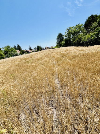 Reality KOMPLEX s.r.o., Vám EXKLUZÍVNE ponúka na predaj priestranný pozemok v obci Doľný Štál