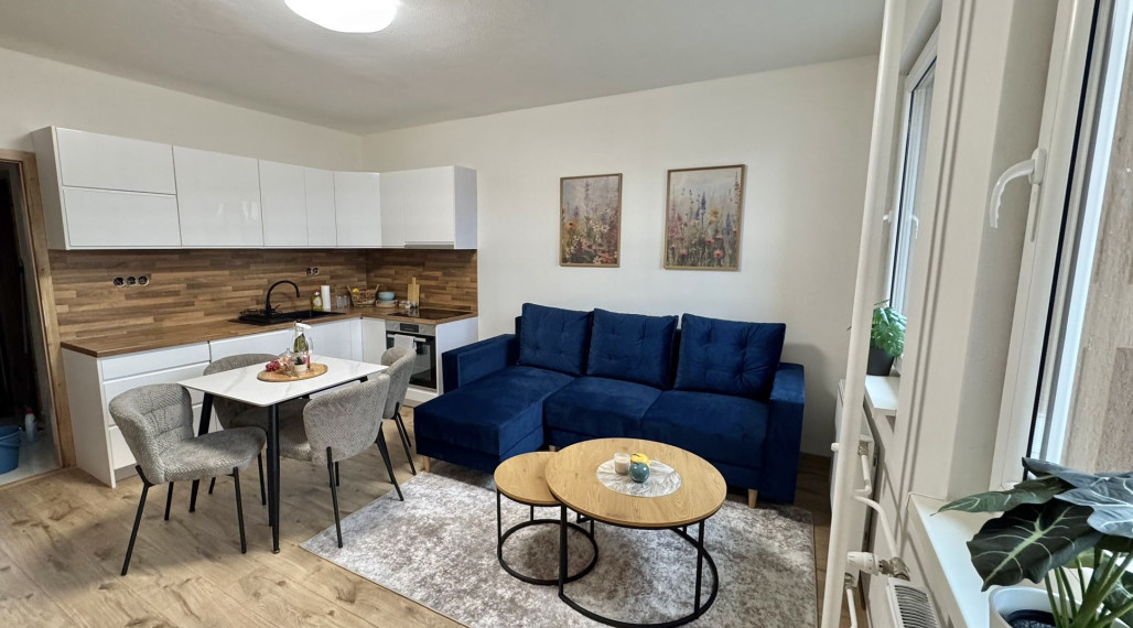 Iba u nás Vám Reality KOMPLEX s.r.o., ponúka na prenájom exkluzívny, nadštandardne zariadený veľkoplošný jednoizbovy byt v atraktívnej lokalite, vmeste Šurany.