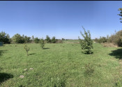 Reality KOMPLEX s.r.o. Vám ponúka na PREDAJ záhradu v obci Tôň - fotografia 1