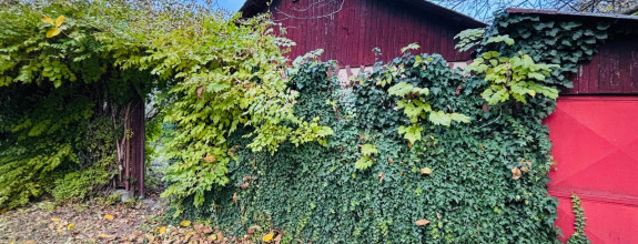 Reality KOMPLEX s.r.o Vám  EXKLUZÍVNE ponúka na predaj malý domček s pozemkom v Novej Stráži