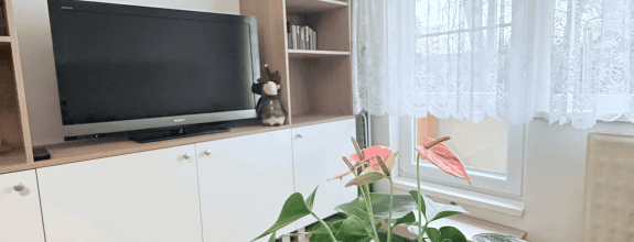 Reality KOMPLEX s.r.o. Vám ponúka zariadený 1-izbový byt NA PRENÁJOM