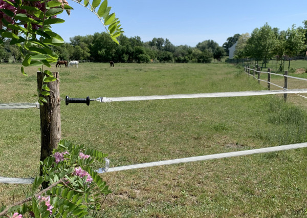 Reality KOMPLEX s.r.o. Vám ponúkana predaj veľkú budovu čarokrásnej, pokojnej lokalite!