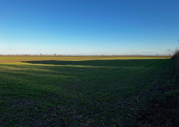 Exkluzívne. Reality KOMPLEX s.r.o. Vám ponúka na predaj veľký stavebný pozemok v obci Okoličná na Ostrove!