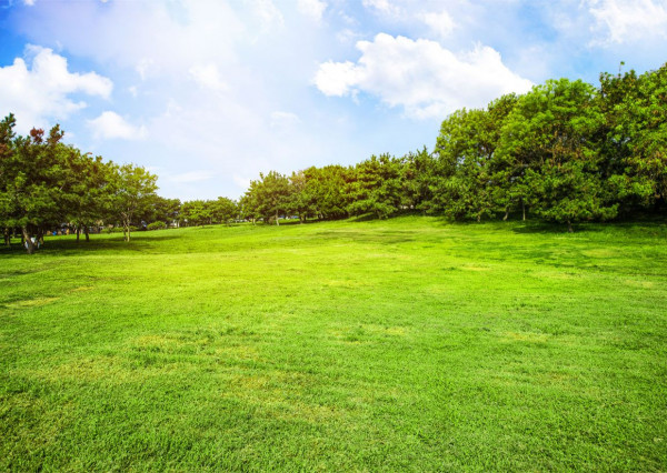 Reality KOMPLEX s.r.o. Vám ponúka na PREDAJ stavebné pozemky v obci Kava za SUPER CENU! / od Komárna 7 km/