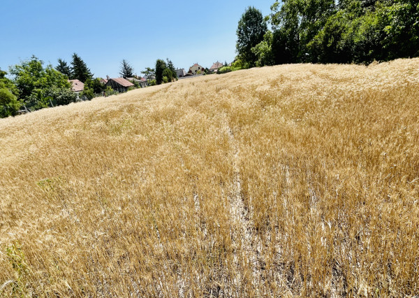 Reality KOMPLEX s.r.o., Vám EXKLUZÍVNE ponúka na predaj priestranný pozemok v obci Doľný Štál