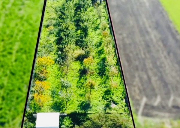 Reality KOMPLEX s.r.o., Vám ponúka na predaj stavebný pozemok vo Veľkom Mederi