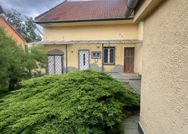 Starší rodinný dom s veľkým pozemkom na výnimočnom mieste v Štúrove – ideálna investičná príležitosť!