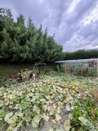 Reality KOMPLEX s.r.o. Vám ponúka na predaj priestranný zrekonštruovaný rodinný dom v Komárne s pozemkom vo vyhľadávanej lokalite !!! - fotografia 18